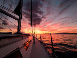 Excursión privada en Velero con avistamiento de cetáceos + comida + bebidas + actividades acuáticas