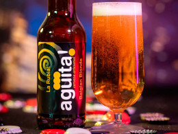 Visita guiada por la fábrica + cata de 5 cervezas artesanales con picoteo