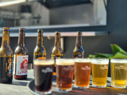 Visita guiada por la fábrica + cata de 5 cervezas artesanales con picoteo