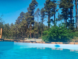 Finca Aurora Ecorural - Icod de los Vinos