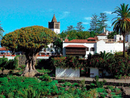 Finca Aurora Ecorural - Icod de los Vinos