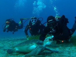 Iniciación al buceo o Curso de Open Water con certificado internacional 