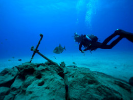 Iniciación al buceo o Curso de Open Water con certificado internacional 