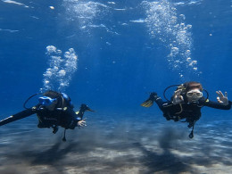 Iniciación al buceo o Curso de Open Water con certificado internacional 