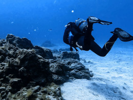 Iniciación al buceo o Curso de Open Water con certificado internacional 
