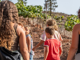 Finca Tres Roques - Vilaflor