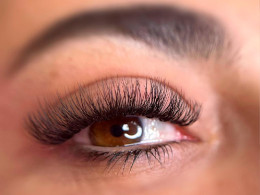 Glash Studio - Santa Cruz