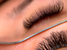 Glash Studio - Santa Cruz