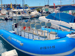 Sea Safari Tenerife - Playa las Américas