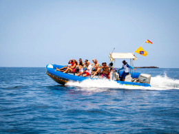 Excursión en barco con avistamiento de cetáceos + picoteo 