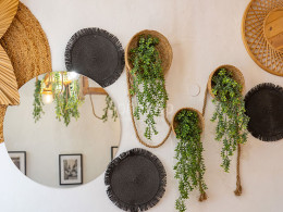 Menú para 2 personas en el centro de La Laguna