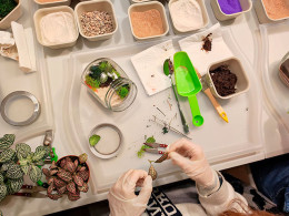 Tallitos Green - La Laguna