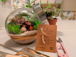 Tallitos Green - La Laguna