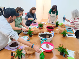 Vitakoke: Taller de Kokedamas con vino o cerveza + picoteo 