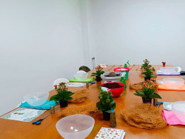 Vitakoke: Taller de Kokedamas con vino o cerveza + picoteo 