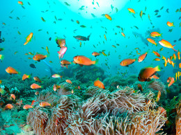 Tourismile - Tenerife