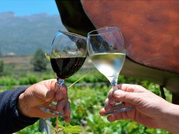 Bodegas Reverón - Vilaflor