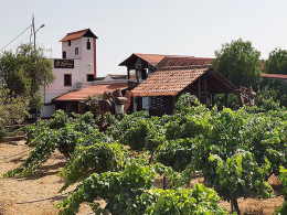 Bodegas Reverón - Vilaflor