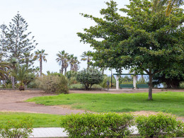 Baraka Café & Grill - Puerto de la Cruz