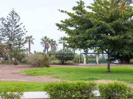 Baraka Café & Grill - Puerto de la Cruz