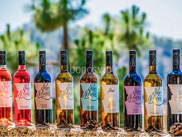 Bodegas Reverón - Vilaflor