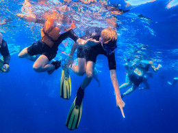 Scuba Point Diving Tenerife