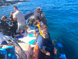 Scuba Point Diving Tenerife