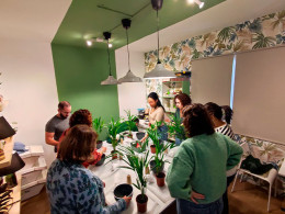 Tallitos Green - La Laguna