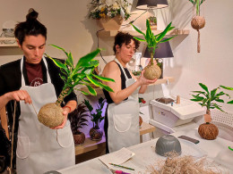 Tallitos Green - La Laguna