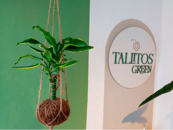 Tallitos Green - La Laguna