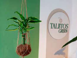 Tallitos Green - La Laguna