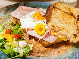 Nashira Cocktail & Gastrobar - Adeje