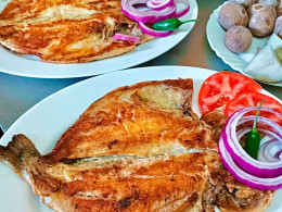 Casa Jeremias - La Laguna