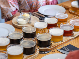 TACOA Cervecería y fábrica - El Sauzal