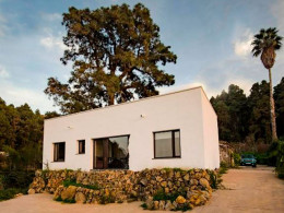 Rincon de Marco - La Guancha