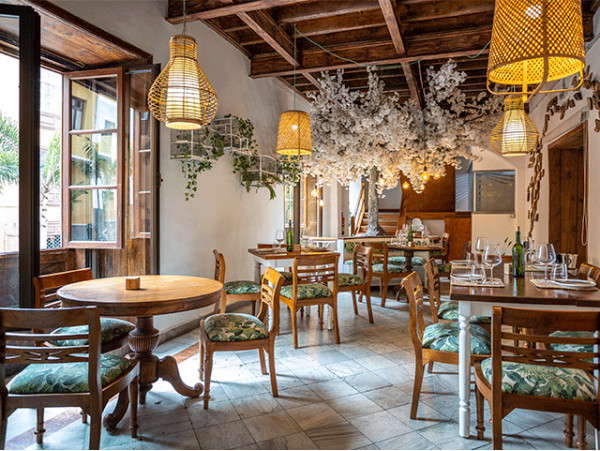 Pez Gordo - Puerto de la Cruz