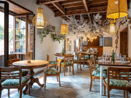 Pez Gordo - Puerto de la Cruz