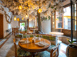 Pez Gordo - Puerto de la Cruz