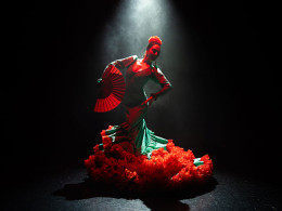 Olé Flamenco Show - Costa Adeje