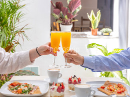 Canelita en Rama - La Laguna