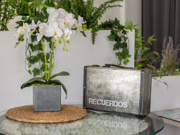 Recuerdos Café - El Sauzal