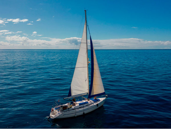Avistamiento de cetáceos de 2 o 3 horas con comida y bebida