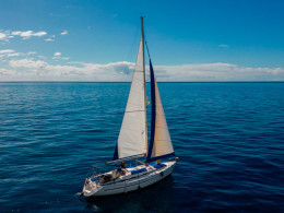 Avistamiento de cetáceos de 2 o 3 horas con comida y bebida