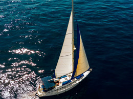 Avistamiento de cetáceos de 2 o 3 horas con comida y bebida