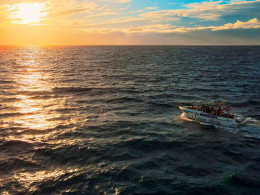 Avistamiento de cetáceos de 2 o 3 horas con comida y bebida