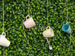 Brunch para 2 en La Orotava