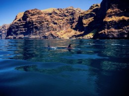 White Tenerife - Adeje