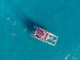 White Tenerife - Adeje
