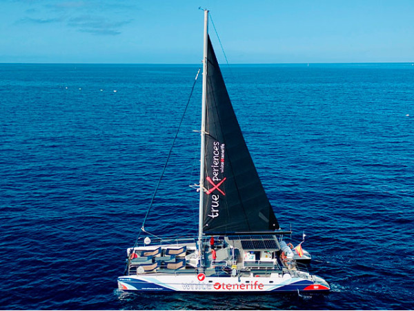 White Tenerife - Adeje