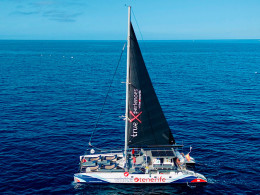 White Tenerife - Adeje